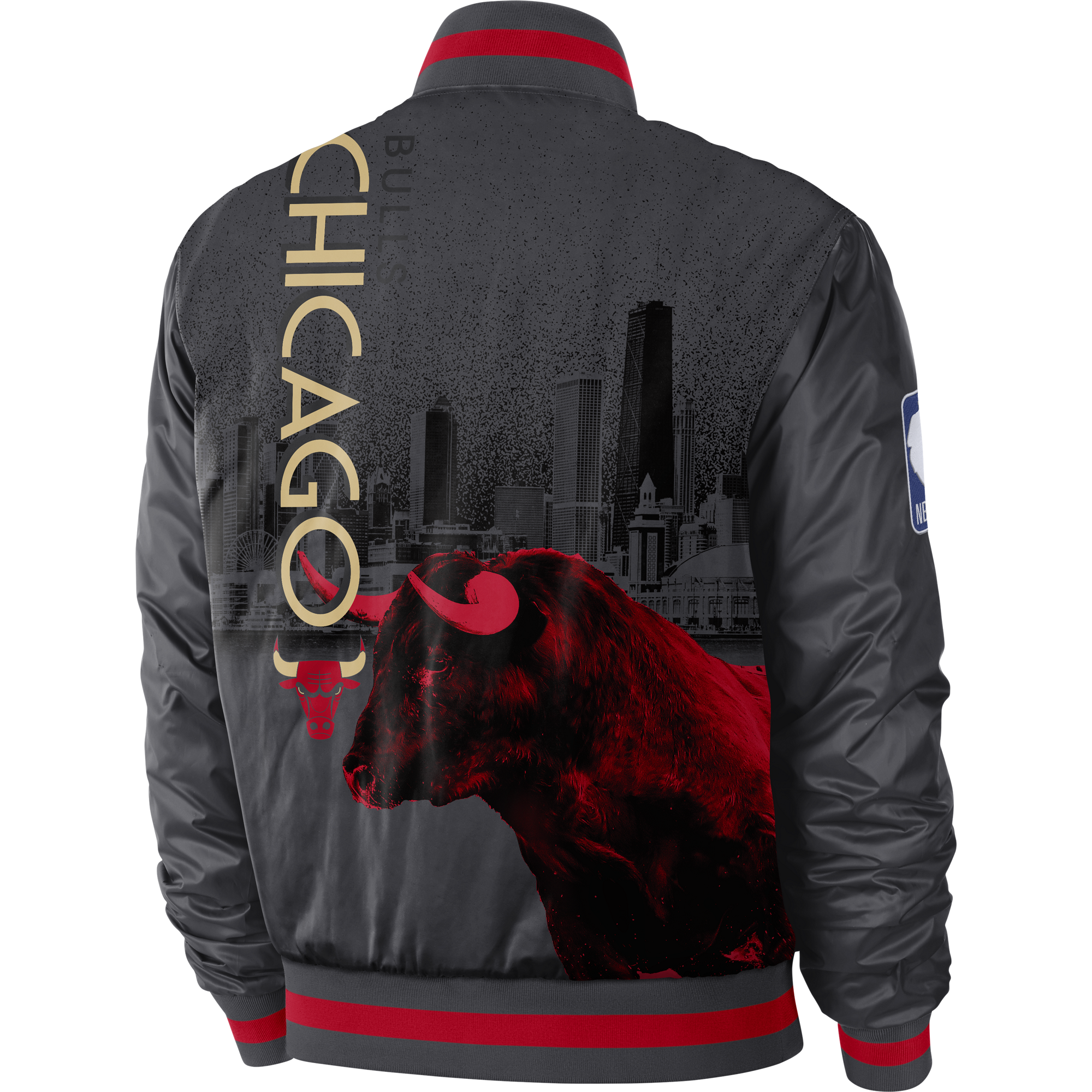chicago bulls courtside jacket